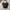 Luxury Bucket bag Wanita gray photo 2