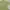 Beams Casual Casual shirt Pria green photo 3