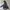 Le Coq Sportif Gorpcore Windbreaker Pria black photo 2