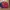 Nankai Biker Windbreaker Pria navy photo 4