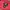 Converse Casual Sweater Pria red photo 4