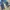 Vintage Streetwear Jeans Pria blue photo 7