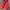 VANS Streetwear Y2K Sneakers Pria red photo 1