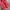 VANS Streetwear Y2K Sneakers Pria red photo 2