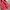 VANS Streetwear Y2K Sneakers Pria Red