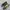 New Balance Streetwear Sportswear Sneakers Pria Multicolor
