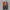 New Balance Streetwear Sportswear Sneakers Pria multicolor photo 5