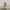 JOURNAL STANDARD Puffer jacket Wanita tan gray photo 1