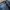 Buckaroo Vintage Y2K Jeans Pria blue photo 4
