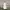 Prom dress Wanita white photo 2
