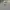 Lee Streetwear Minimalist Formal shirt Pria gray blue photo 4
