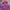 Phenix Biker Sportswear Parka Pria multicolor photo 1