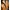 Vintage Denim jacket Pria tan brown photo 4