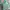 Fjällräven Casual Backpack Wanita green photo 4