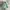 Fjällräven Casual Backpack Wanita green photo 2