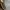 Vintage Luxury Shoulder bag Wanita brown photo 4