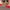 Nike Casual Sneakers Pria tan photo 4
