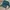Vintage Casual Sweatshirt Wanita green photo 1
