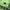 Off-White Streetwear Hoody Pria green photo 4