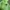 Off-White Streetwear Hoody Pria green photo 3