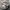 Supreme Casual Sweatshirt Pria gray photo 4