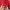 Uniqlo Streetwear Biker Puffer jacket Pria red photo 5