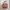 Marc Jacobs Bags & Purse Wanita Orange