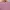ZARA Fairy Midi dress Wanita pink photo 2