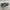 VANS Emo Casual Sneakers Pria white green brown photo 1