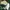 Indie Casual Polo shirt Pria white green photo 2