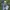 Indie Casual Polo shirt Pria white green photo 1