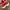 Nike Air Jordan Casual Sneakers Pria white red black photo 3