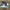 Nike Casual Sneakers Pria white green black photo 1