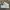 Nike Casual Sneakers Pria White Gray Blue