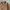 White Mountaineering Vintage Y2K Fleece Pria Brown