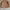White Mountaineering Vintage Y2K Fleece Pria brown photo 6