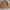 White Mountaineering Vintage Y2K Fleece Pria Brown