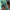 Sportswear Pria green photo 6