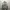 Jean-Michel Basquiat Streetwear Sweatshirt Pria gray photo 1