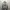 Jean-Michel Basquiat Streetwear Sweatshirt Pria Gray