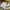 Kapital Kountry Formal pants Pria white photo 4