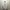 Burberry Streetwear Luxury Sweatshirt Pria white photo 1