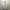 Burberry Streetwear Luxury Sweatshirt Pria White
