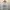 Burberry Streetwear Luxury Sweatshirt Pria White