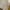 Fur coat Wanita multicolor photo 2