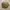 Kangol Luxury Casual Hat Pria multicolor photo 3