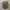 Kangol Luxury Casual Hat Pria multicolor photo 4