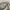 Kangol Luxury Casual Hat Pria multicolor photo 2
