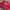 Vintage Y2K Windbreaker Pria red photo 6