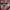 Y2K Skater Shirt Wanita burgundy pink photo 3